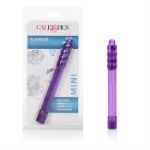 Picture of SLENDER SENSATIONS PURPLE