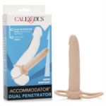 Picture of Accommodator Dual Penetrator - Ivory