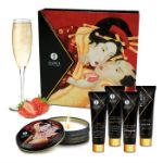 Picture of SHUNGA SECRET GEISHA SET