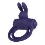 Picture of ADAM & EVE'S SILICONE RECHARGEABLE RABBIT RING