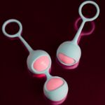 Picture of EVE'S KEGEL TRAINING SET