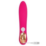 Picture of EVE'S BLISS VIBRATOR