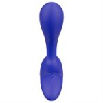 Picture of We-Vibe Vector+ Royal Blue