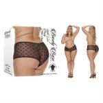 Picture of SPLIT LACE PANTY PLUS SIZE